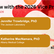 Interview Series: ISEH Vice President Jennifer Trowbridge