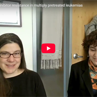 Exploring Experimental Hematology: Menin inhibitors in leukemia