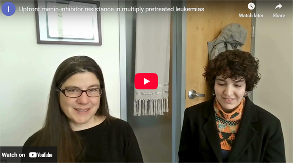 Exploring Experimental Hematology: Menin inhibitors in leukemia