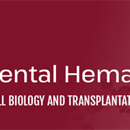 2025 Experimental Hematology Highlights