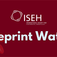 Preprint Watch: October 2025